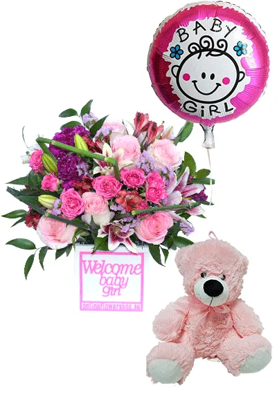new born girl combo